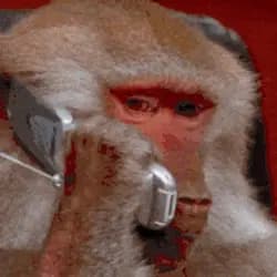Monke Phone Logo